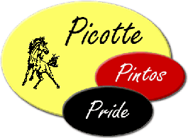 Picotte Elementary School